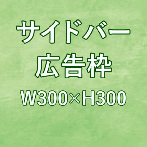 広告枠W300×H300